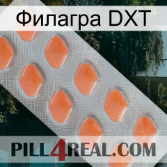 Филагра DXT 26